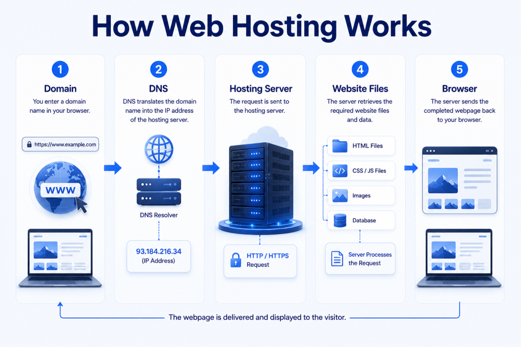 How web hosting works showing domain DNS hosting server database and website delivery process
